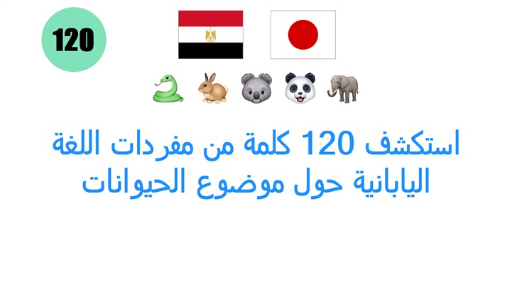 استكشف 120 كلمة من مفردات اللغة اليابانية حول موضوع الحيوانات